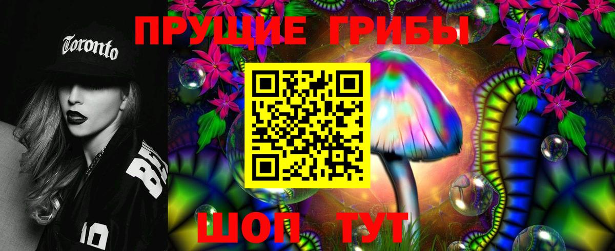 Псилоцибиновые грибы MAGIC MUSHROOMS Вичуга